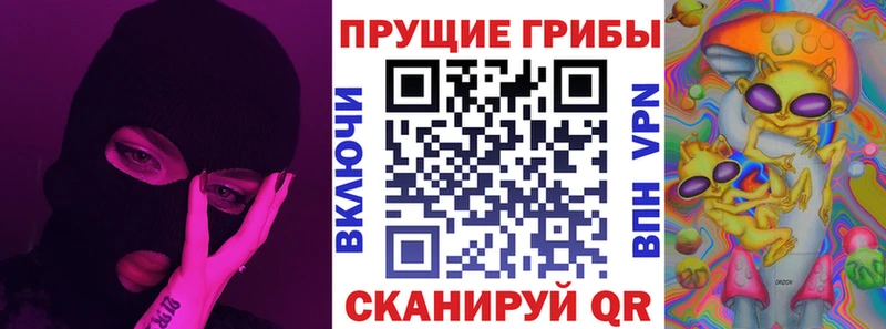 Псилоцибиновые грибы Cubensis  Касимов 