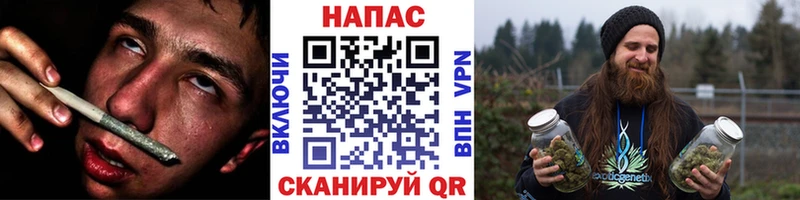 Бошки марихуана конопля Касимов